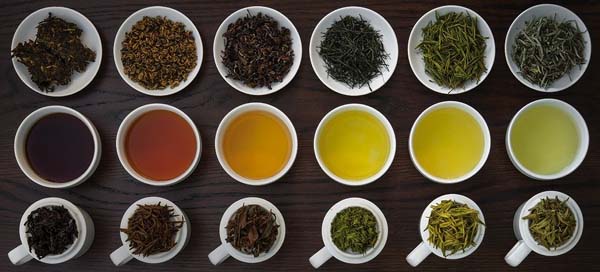 Làm sao phân biệt các loại trà?