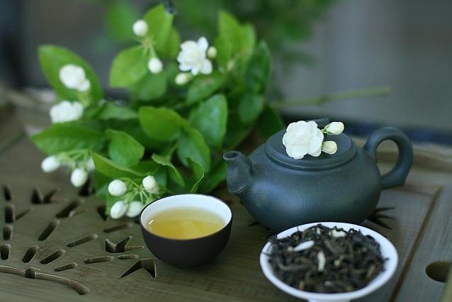 mua tra ngon o dau hcm