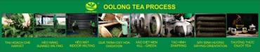 Bạn có biết từng viên trà Ô Long đã được làm ra như thế nào?