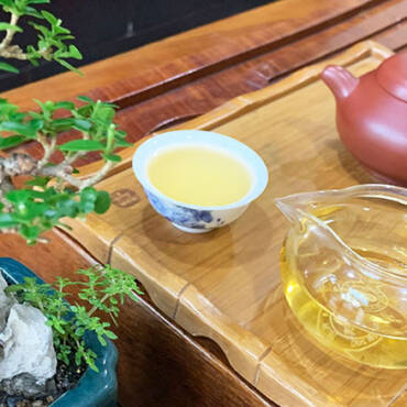 Mua trà Ô Long ở đâu?