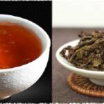 phân biệt lên men và oxy hóa
