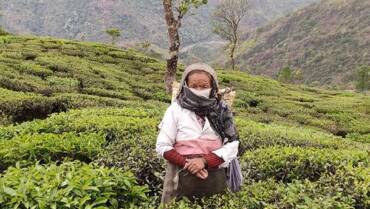Darjeeling – Hoàng đế trà đen