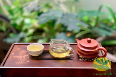 Hướng dẫn pha trà Ô Long sữa cho người mới