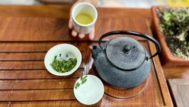 ChaQi đến từ đâu trên Trái Đất?